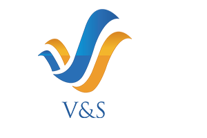 Logo de VieillissementS & Société