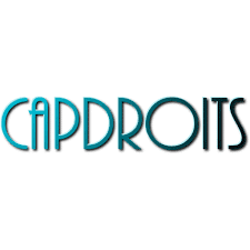 Logo de la communauté mixte de recherche Capdroits.