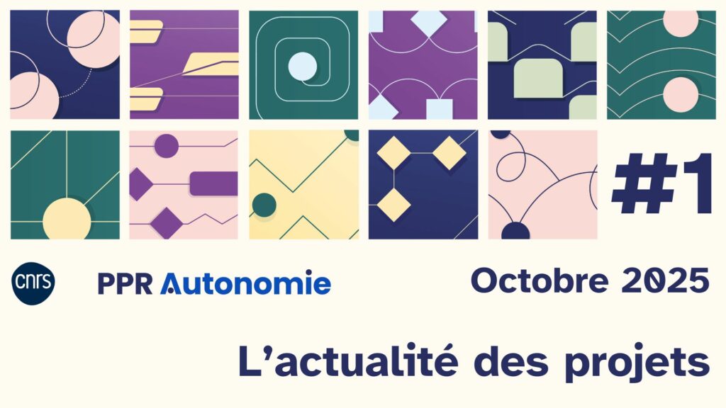 Visuel de l'article d'actu : PPR Autonomie, octobre 2025, l'actualité des projets. L'ensemble des motifs des divers projets financés forment un carrelage coloré.