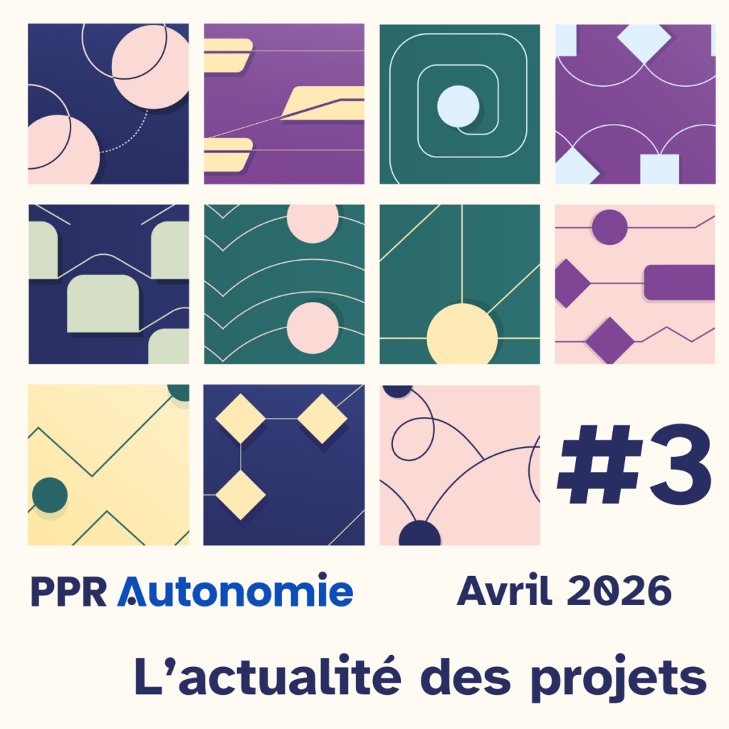 Visuel de l'article d'actu : PPR Autonomie, janvier 2026, l'actualité des projets #3. L'ensemble des motifs des divers projets financés forment un carrelage coloré.